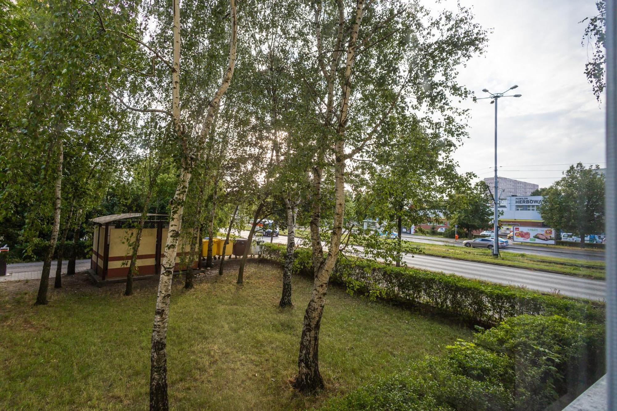 Apartament Verde By Rentoom Stary Toruń Buitenkant foto